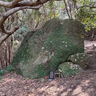 ぼたもち岩🪨。