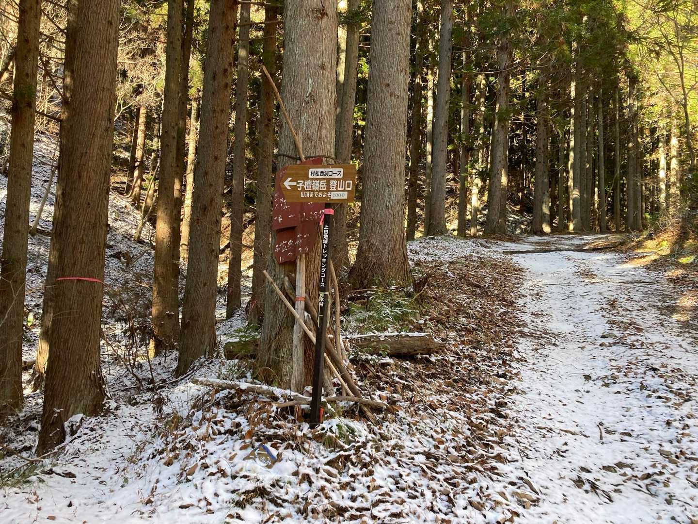 登山口到着‼️ここから左に入ると登山道🎵