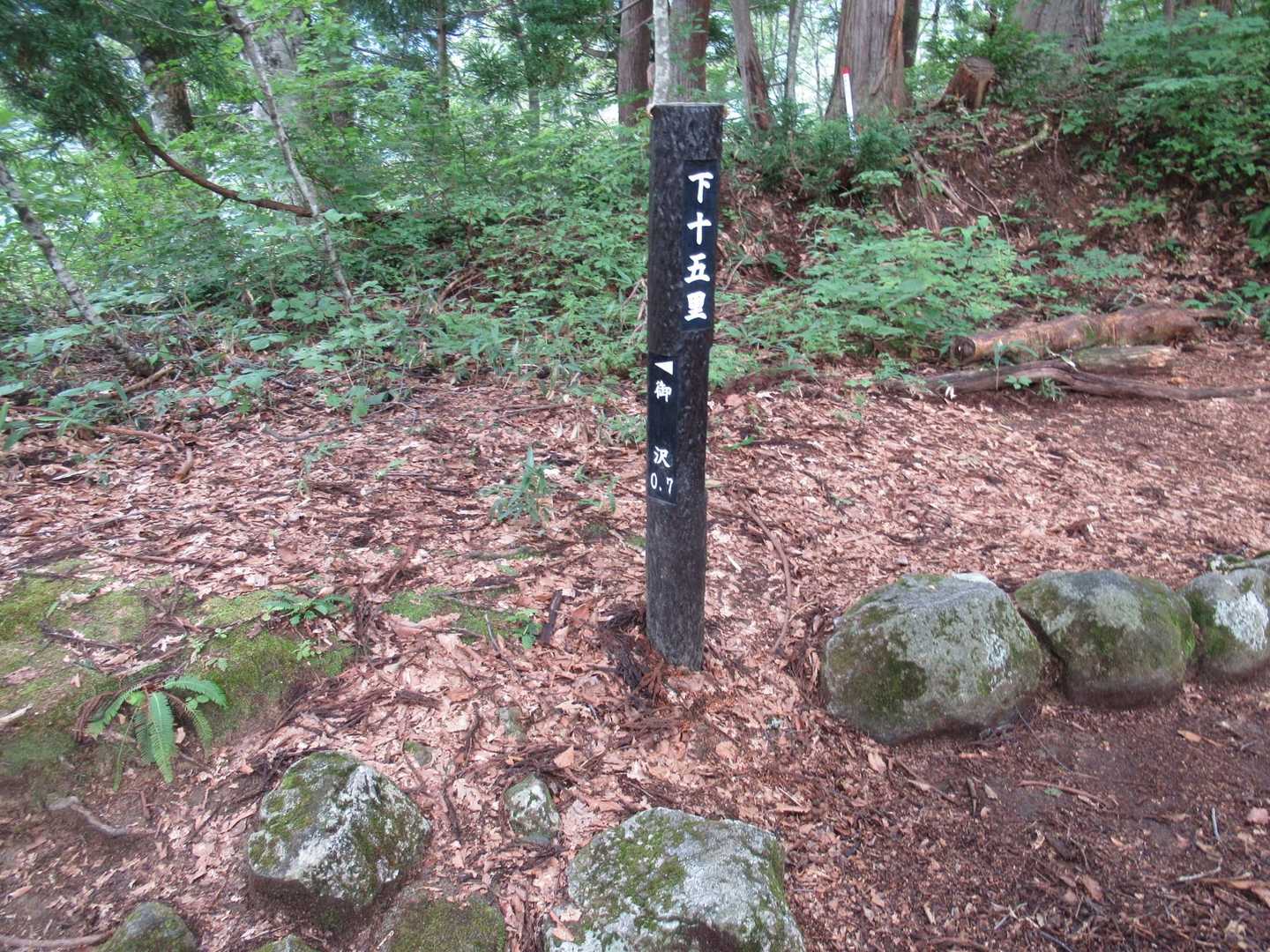 下十五里🥾
