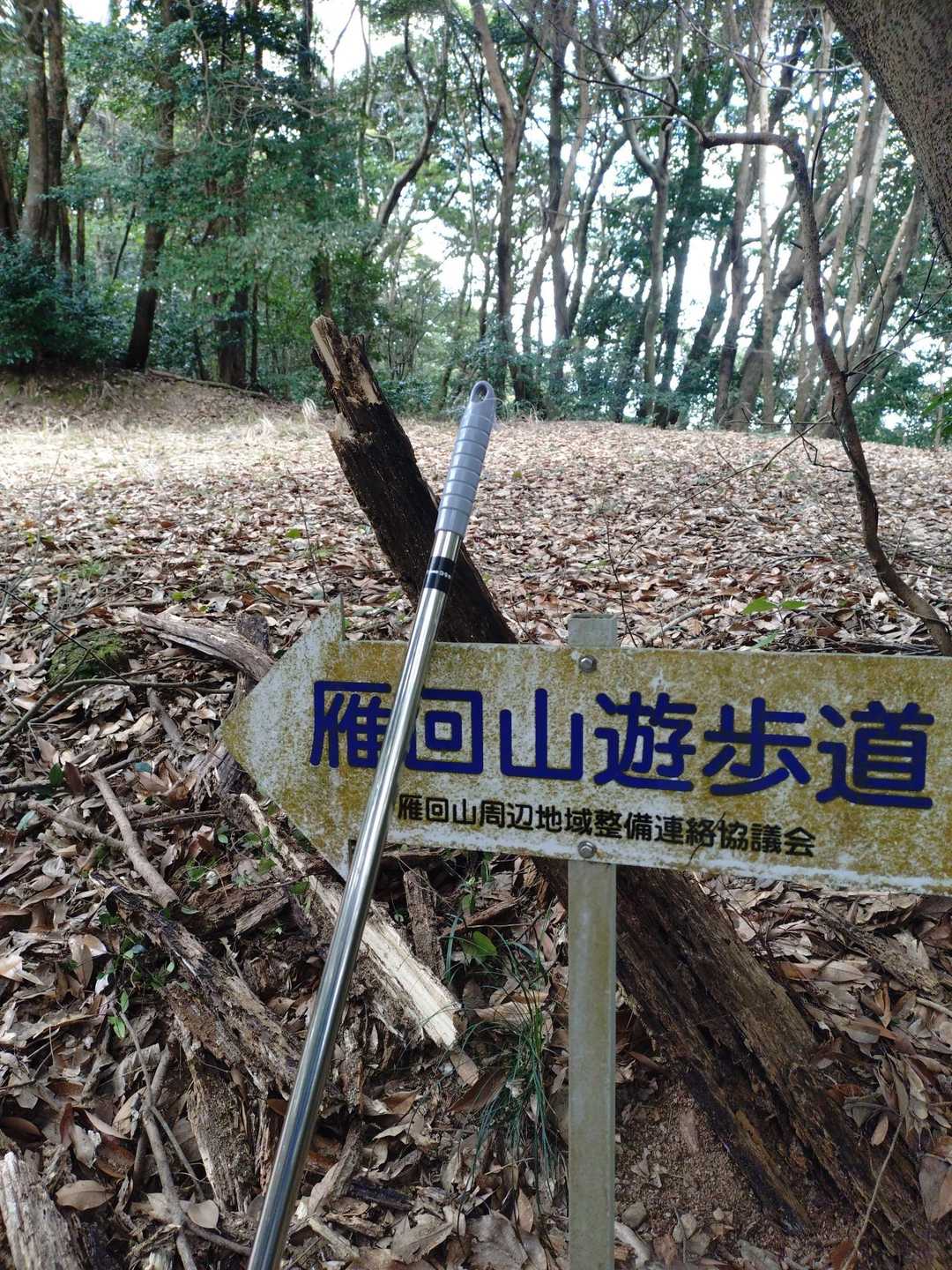 ふっ💨
やっとここ迄来ました
