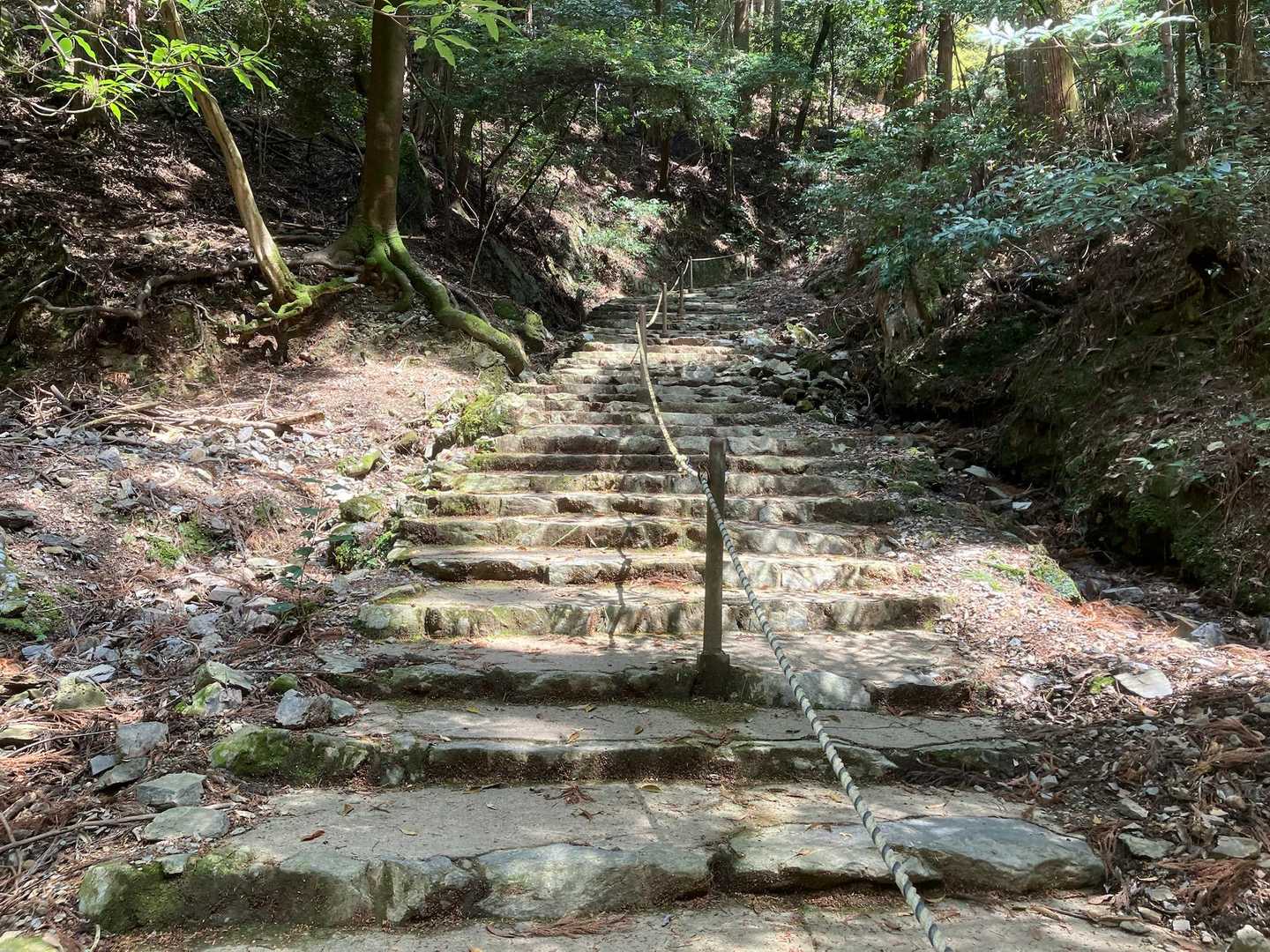 醍醐山 往復コースの写真