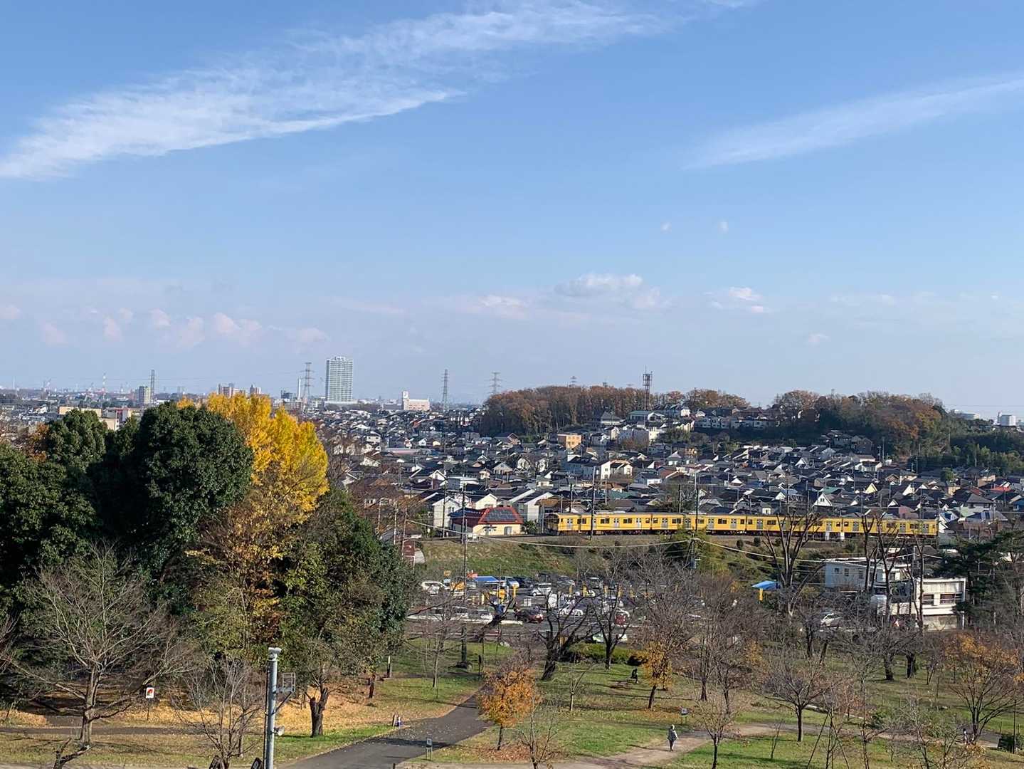 青空と銀杏と西武鉄道の黄色の車体のコラボ。