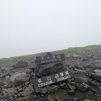蝶々深山です
なんでこんな変わった名前なのですかね