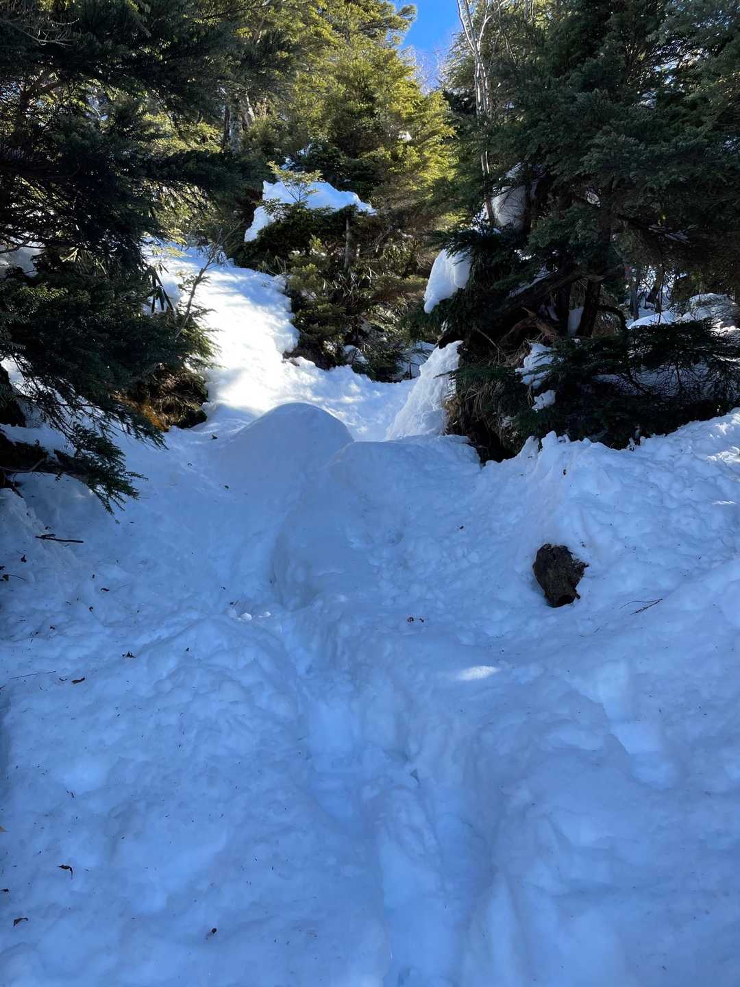 太郎山登山口-山王帽子山-小太郎山 往復コースの写真