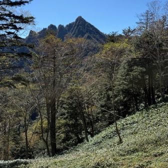 皇海山下山中に見た鋸岳
今からまた登ります😭