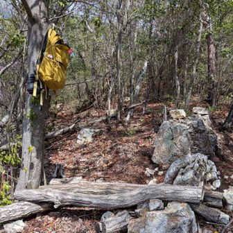 素敵な場所で寛がせていただきました☕