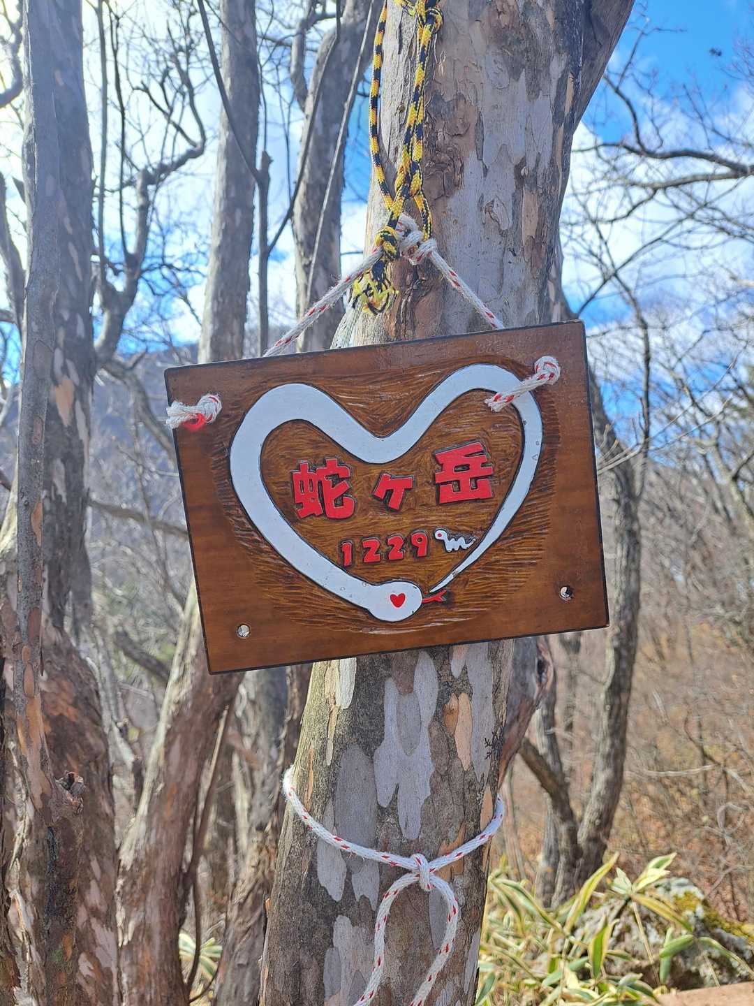 あっという間に登頂🎉