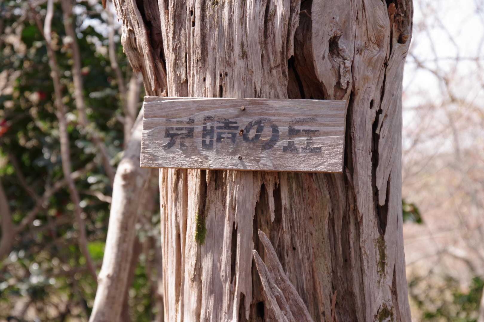 見晴らしってあるけど何も見晴らせない！