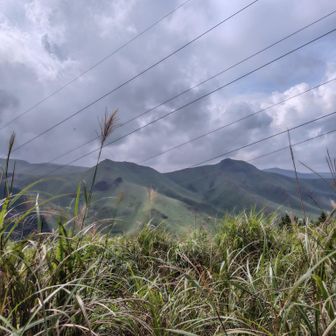 やぶこきのはてに一ノ峰二ノ峰が見えた