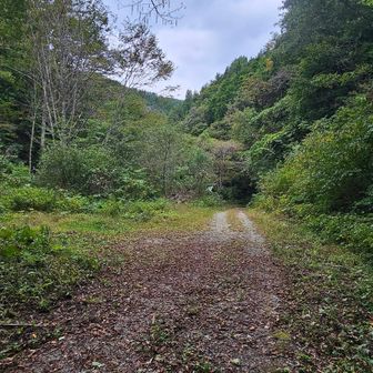 箱ヶ森登山口に下山しました。
4台程駐車可能です🅿️