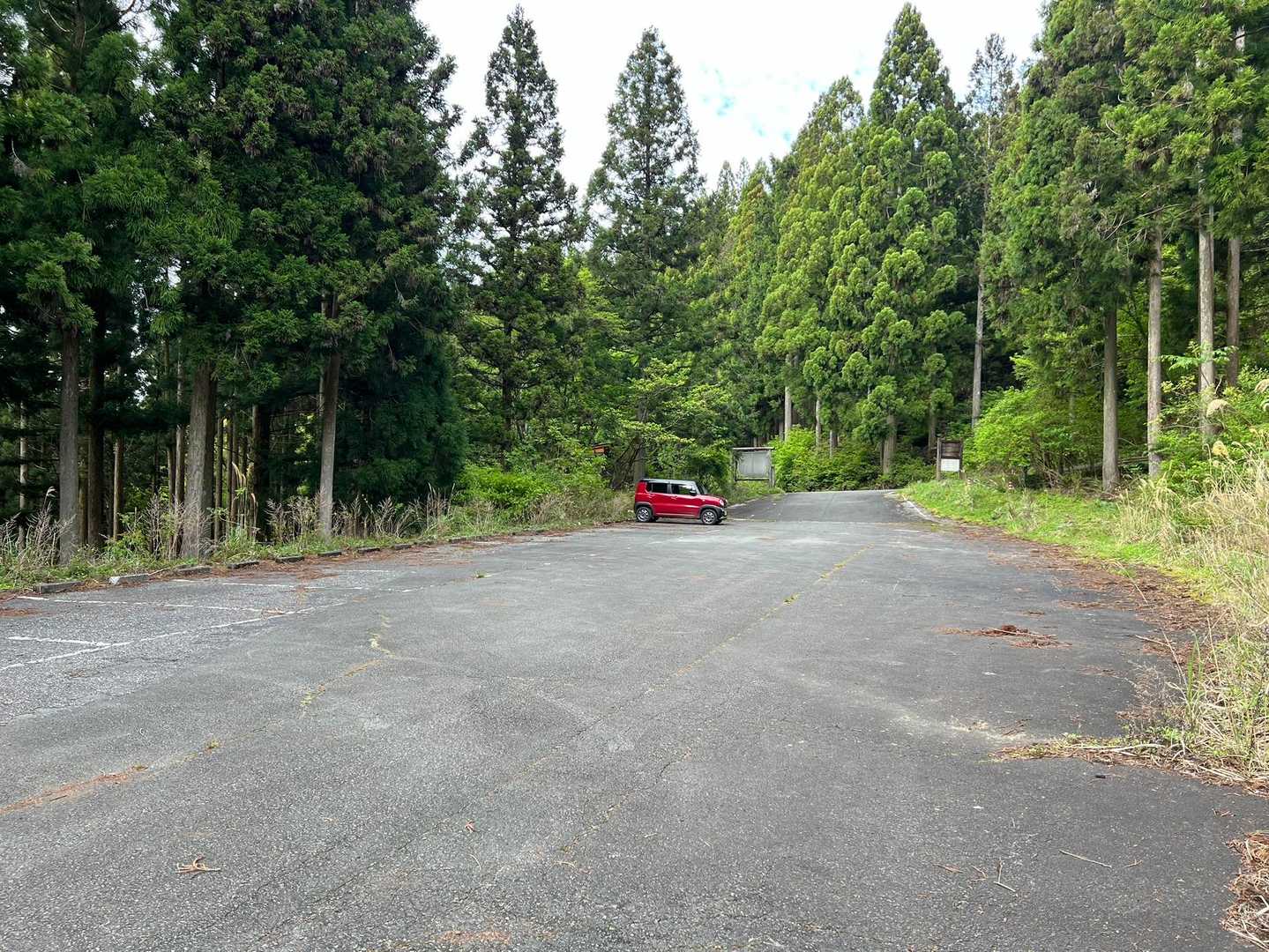 
ポッツーン！
1番で帰る予定だったのに、又最後です

自生のヤマトグサ堪能しました😍

お待たせハッスルハスラー😭

さあ、帰りましょう❣️
