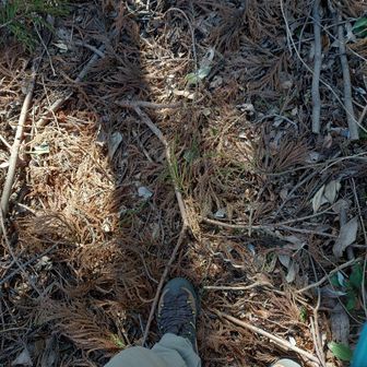 渋田山山頂 🙌
私は渋田川の🎏。

261