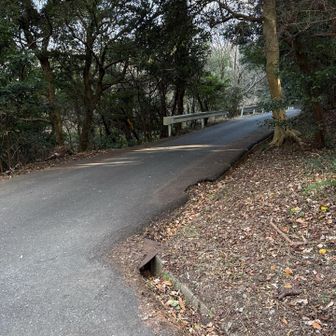 あとはロードを下る