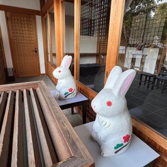 玉津島神社のうさぎさん🐇🐇