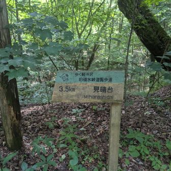 旧軽井沢遊覧歩道分岐です。
ここからダート道とか別荘地近くの道とか、です。