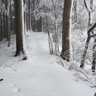 生藤山 雪が積もっています