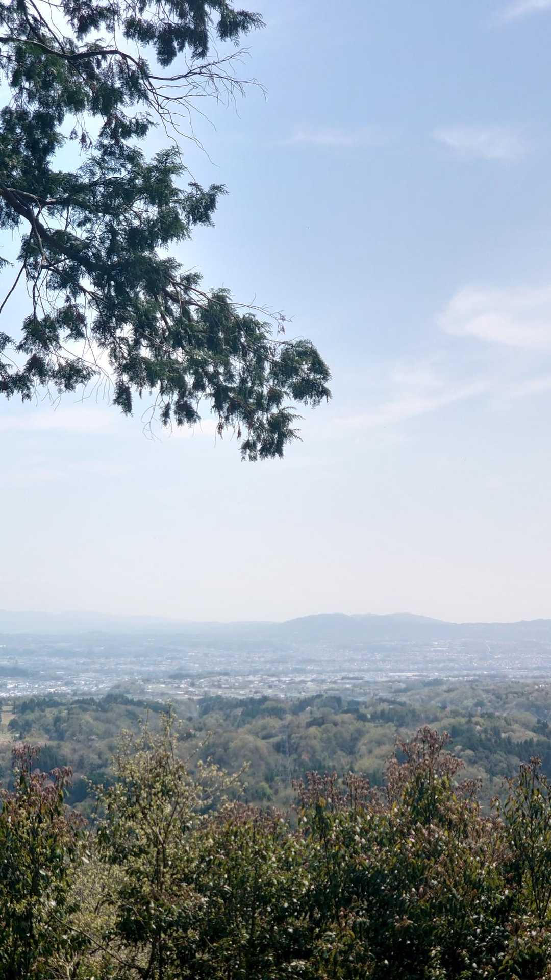 みのかも健康の森登山口-高木山登山口-高木山-富士山 周回コースの写真