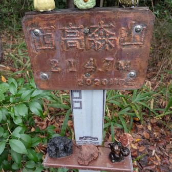 結構サビサビ...。