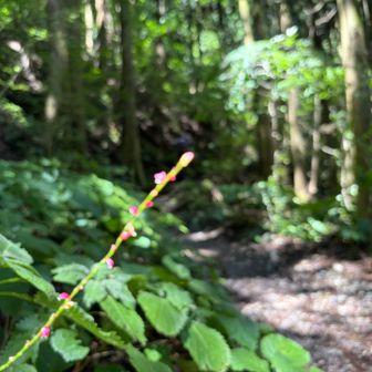 陽射しは暑いけど、