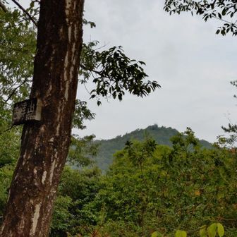 何故か、百々を通り越して古津山😮
荷重日記では、これが普通

まあ、イグアナちゃんの荷物も持って登る体力は養わなあかん🤔

