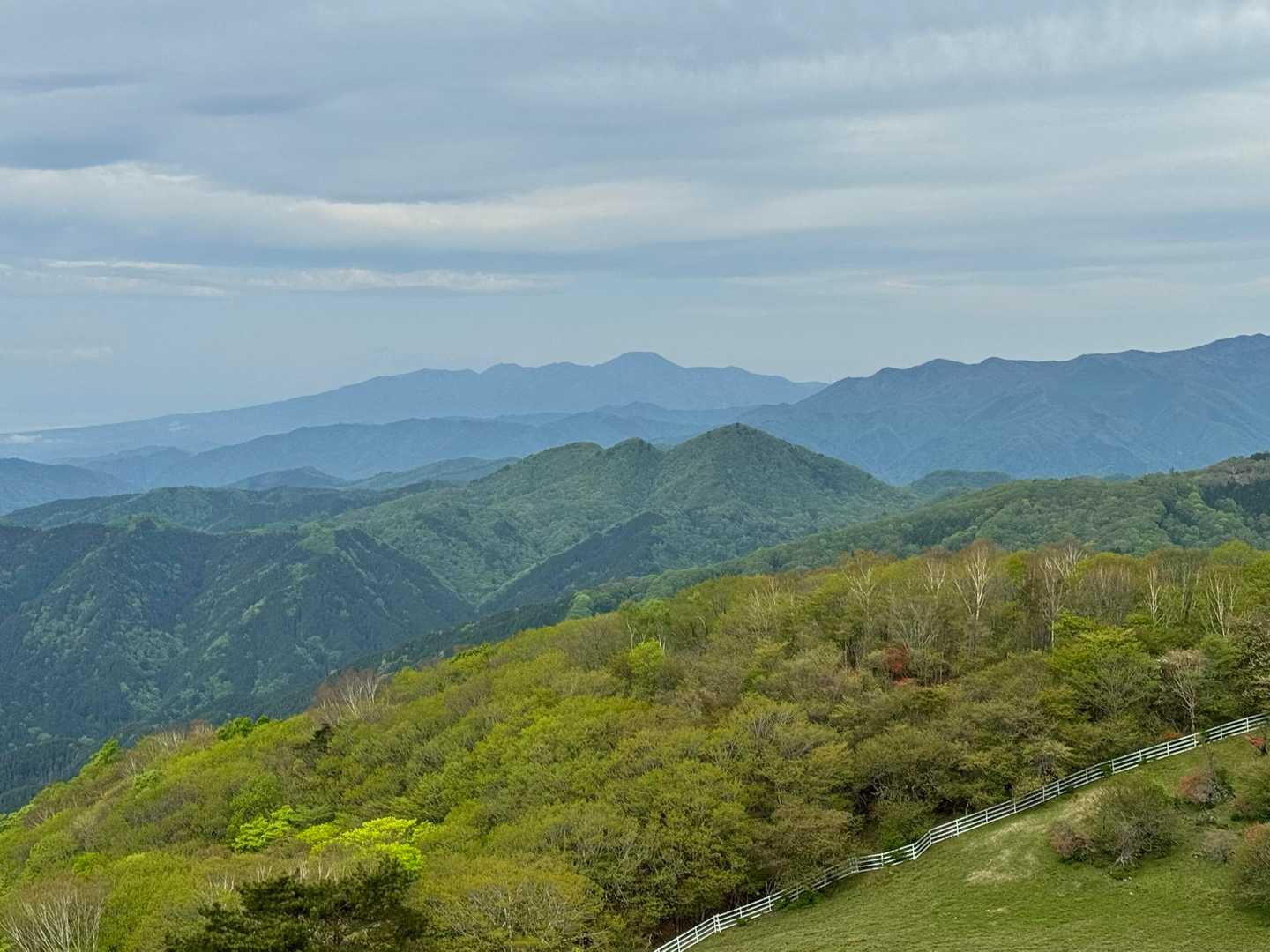 横根山 周回コースの写真