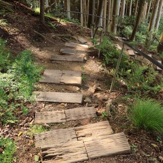 奥の院からはずーっと階段の降り
