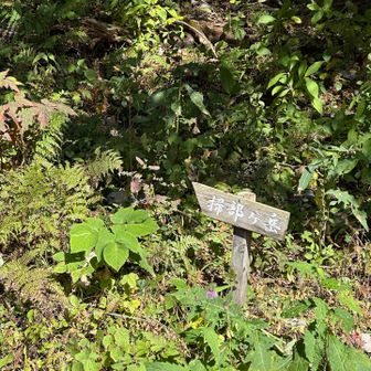 湖畔の登山口