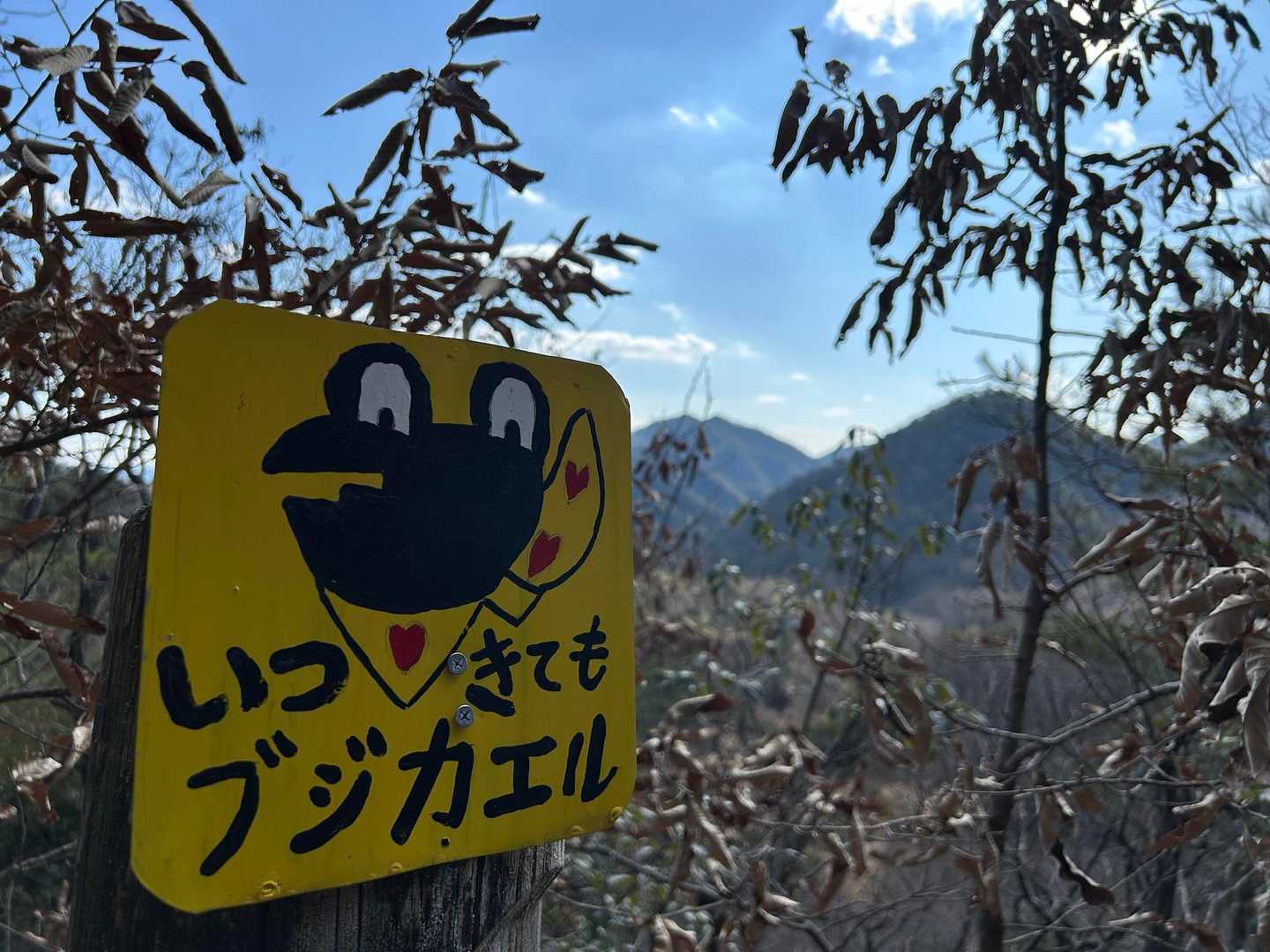 金山 往復コースの写真