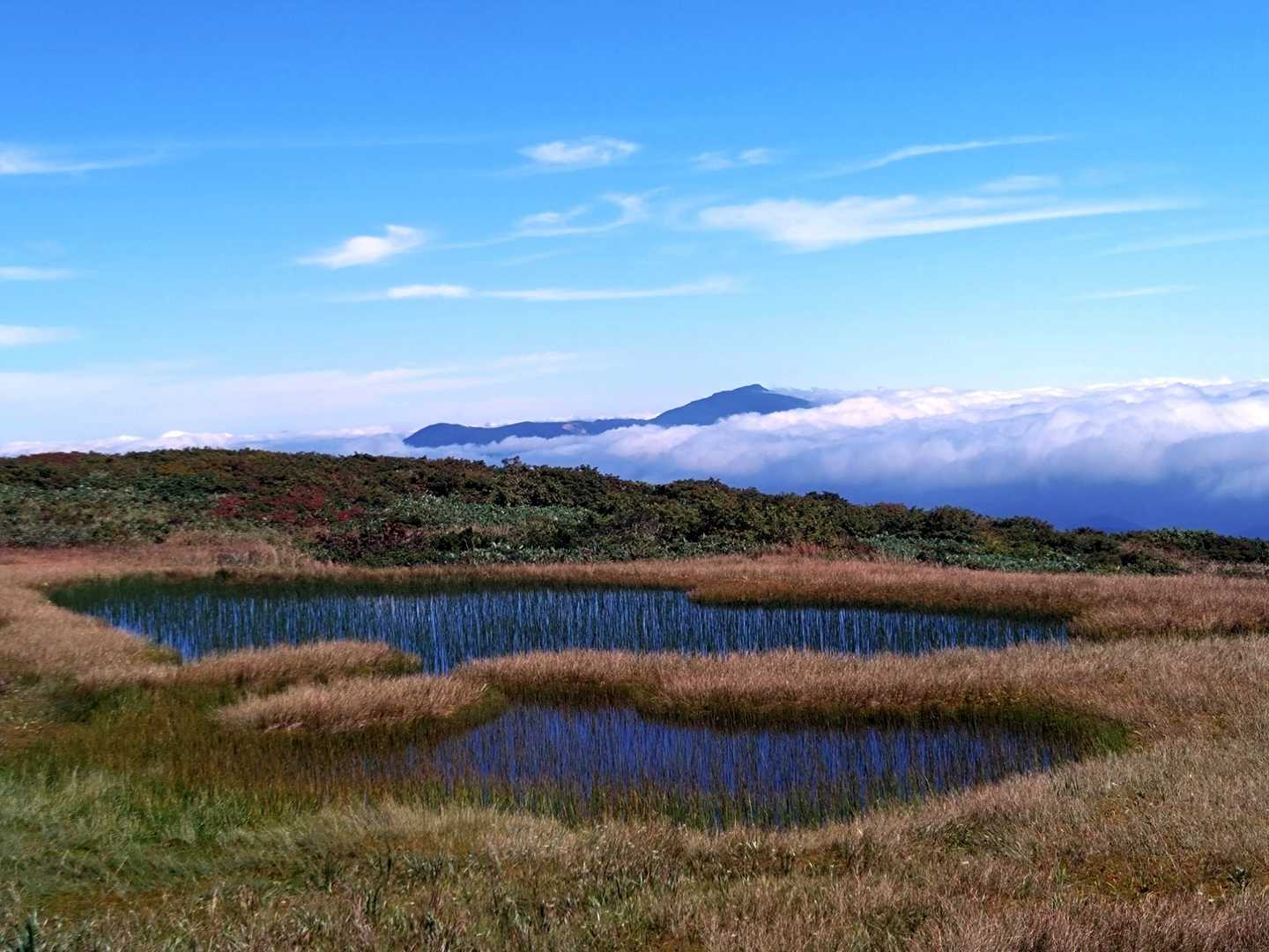 雲上のオアシス
池塘と栗駒山