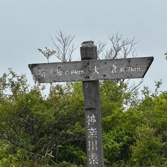 あとすこしなんだけどなぁ……