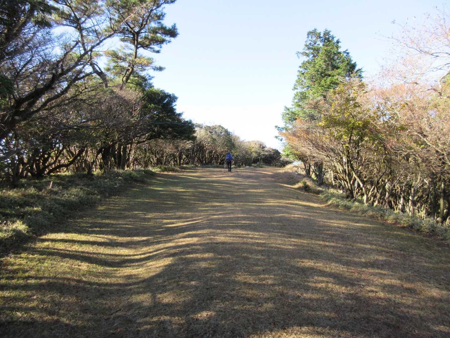 まるでゴルフ場の
フェアウェイを歩いている様な錯覚に陥ってしまう