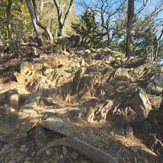 奥ノ院への登り。
前回はここ下りましたが、下りた時も急だな…！って思ったのを思い出しました😇