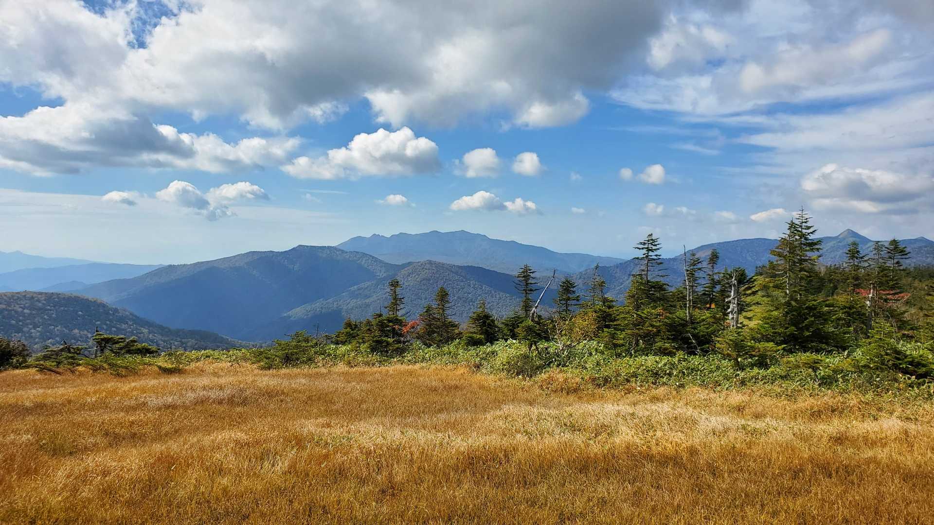 鳩待峠-横田代-中原山-アヤメ平-富士見小屋跡 往復コースの写真