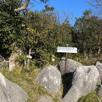 大平山と書いておおへらやま！