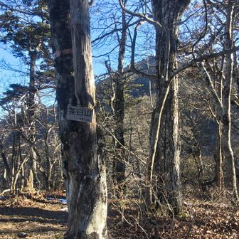 茶臼山とうちゃく！1513m