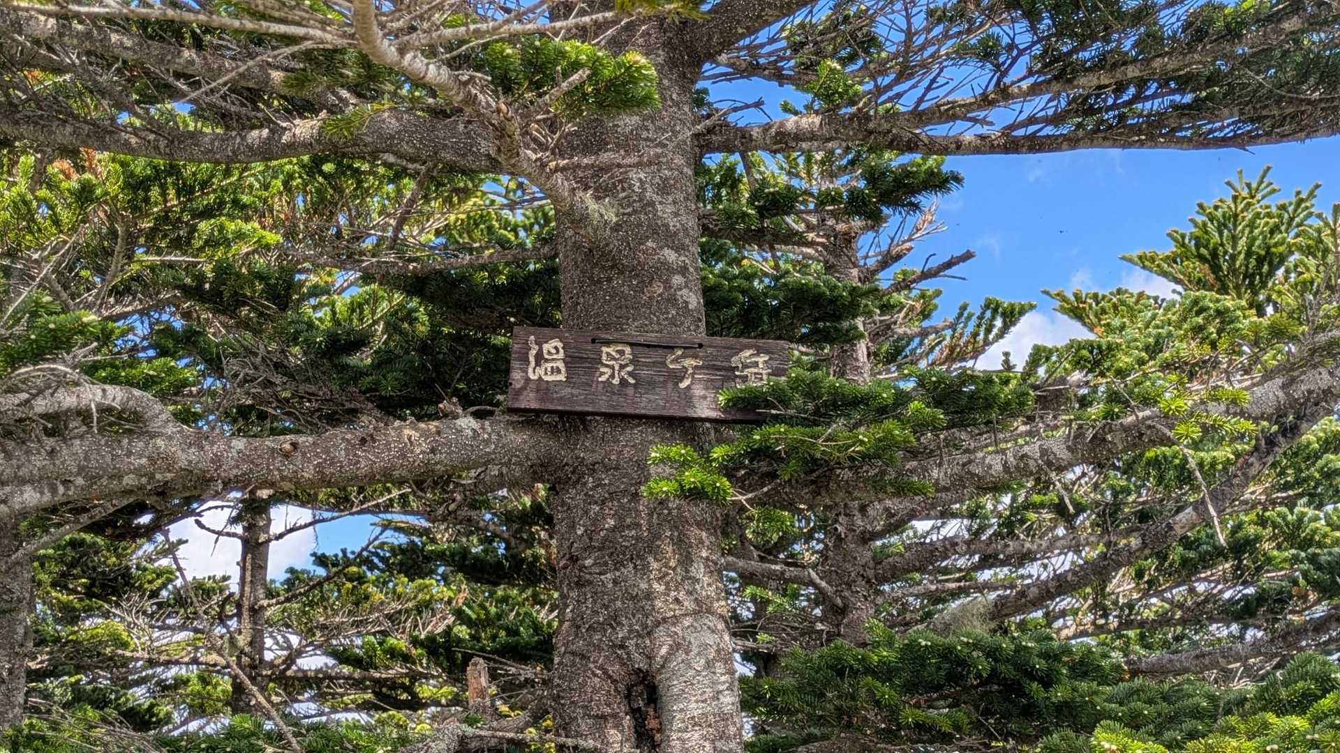 山頂板