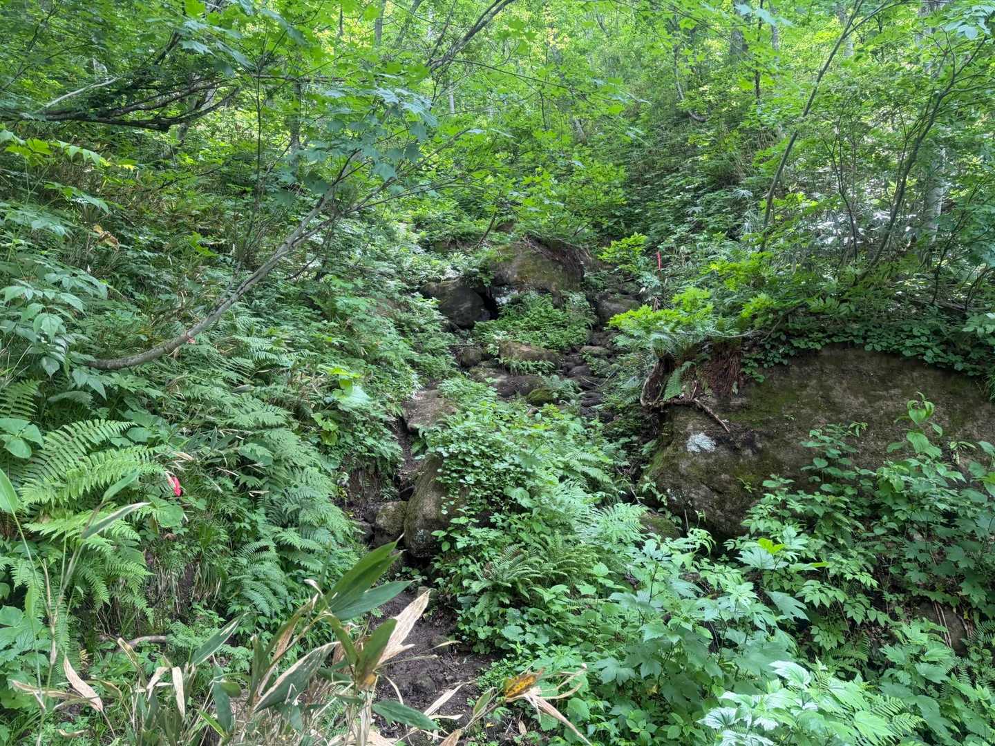 岩登り