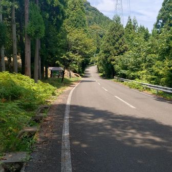 登山口が見えてきました