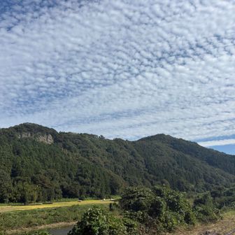 鋸21峰には鱗雲🐟
秋だねぇ。