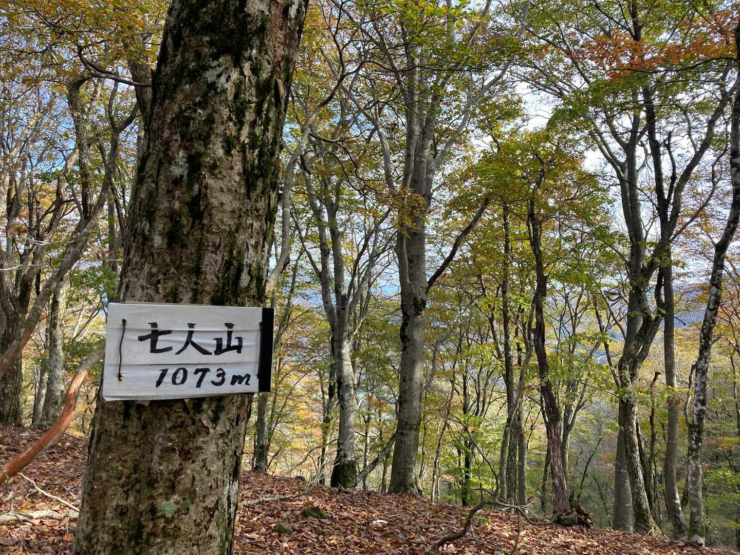 このあたりでコース外しました
どこを見ても同じような景色に錯覚したようです