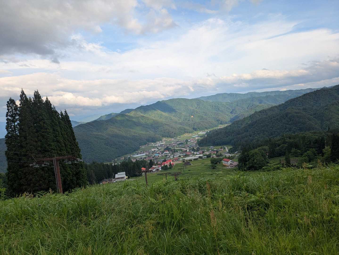 方角的にはあの山の奥で伐採してきた