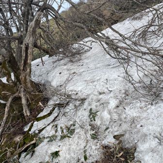 今日イチの残雪