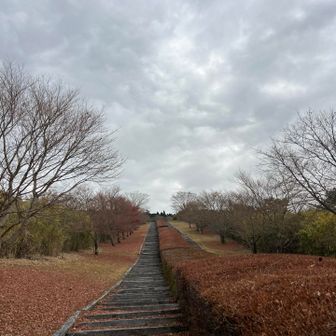 少し赤い🍁『日本一枕木階段』