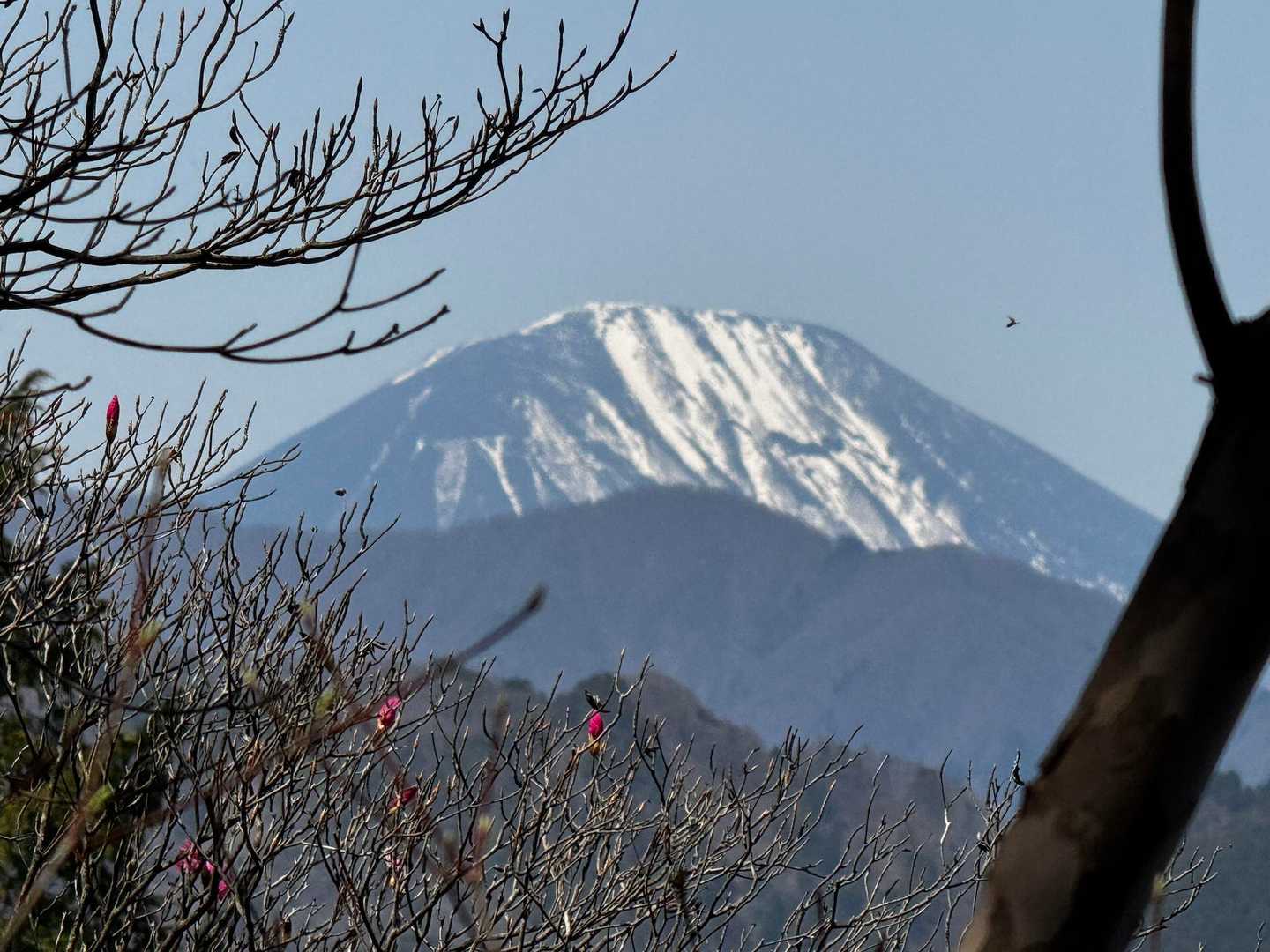 男体山は象徴的ですね⛰️