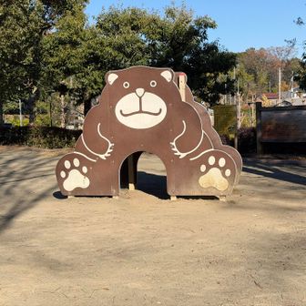 アスレチック広場

あんまり遊具はなかったですね