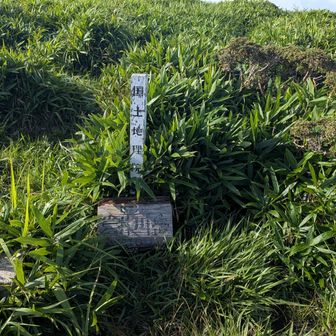 びしょ濡れになって岩井川岳に着いたぞ
三等三角点　稲干