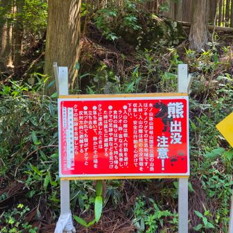熊さんには会わずに無事下山しましたー🐻
いい山でしたー
ありがとうー🖐️