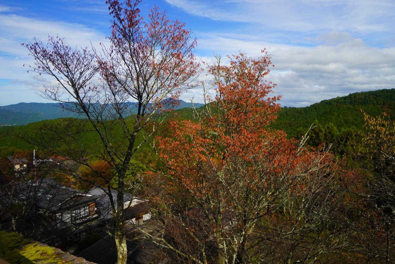 紅葉はたくさんはないけど、所々いい感じ🍁