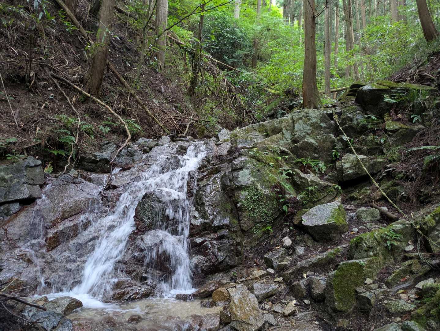 関西人気No.1の金剛山。豊かな緑と清流に包まれる癒やしの日帰り山旅の写真