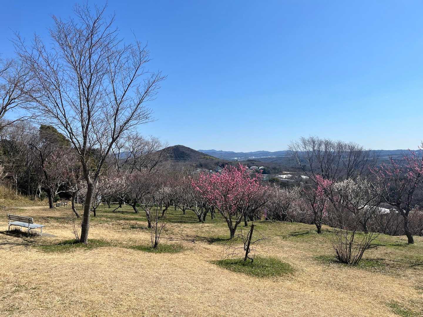 さっき登った、雄岡山が見えてます⛰️
